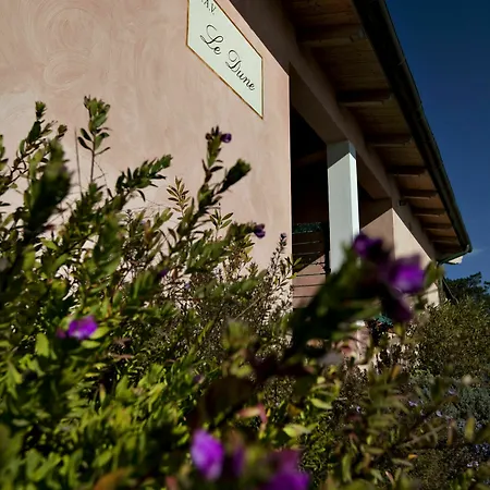 Le Dune Holiday home