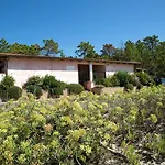 Holiday home Le Dune *